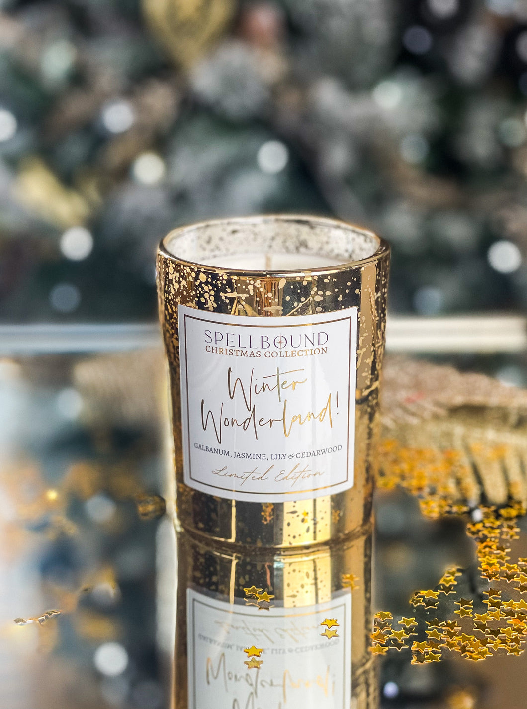 'Winter Wonderland!' 30cl Luxury Christmas Candle